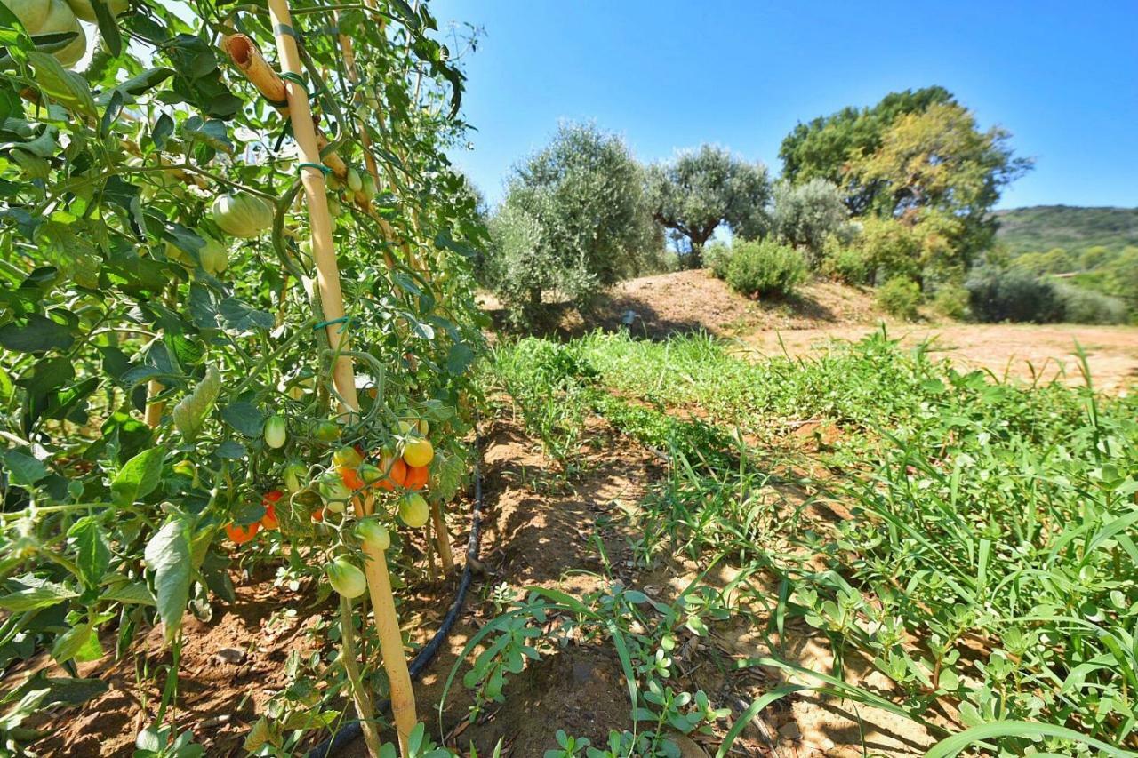 Vila Il Molino Porto Ercole  Exteriér fotografie