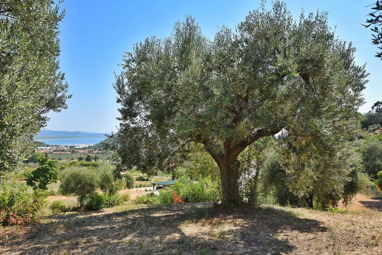 Vila Il Molino Porto Ercole  Exteriér fotografie